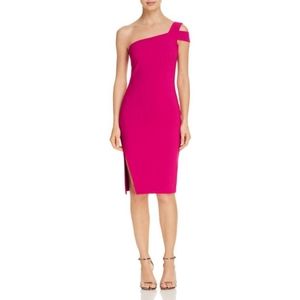 NWT Likely Packard Dress in Fushia Side Slit